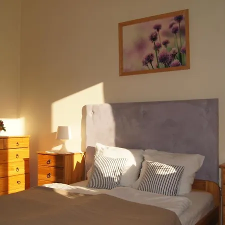 Apartment Lesny *